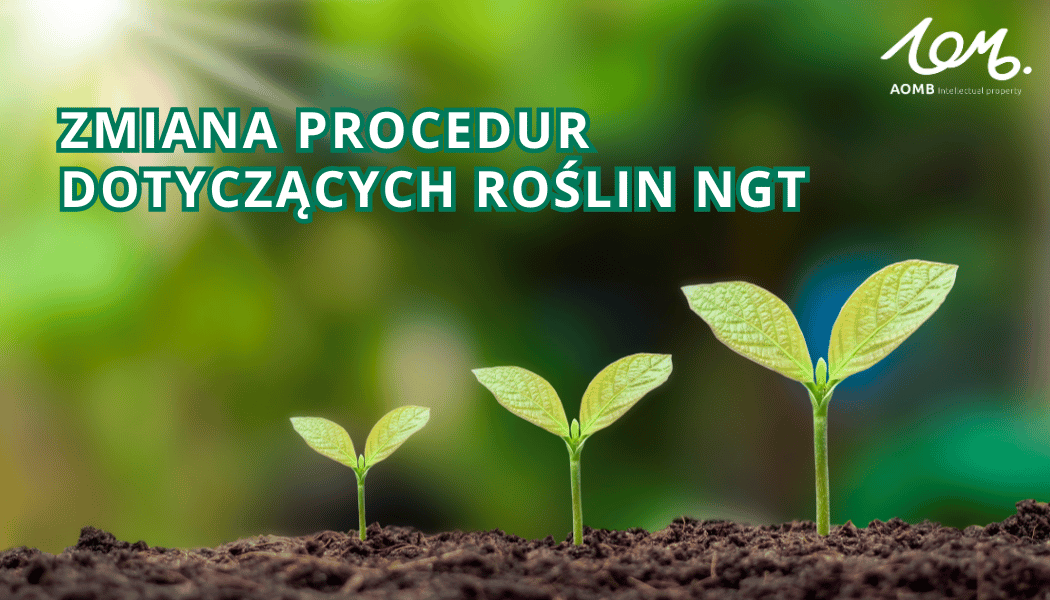 Zmiana procedur dotyczących roślin NGT